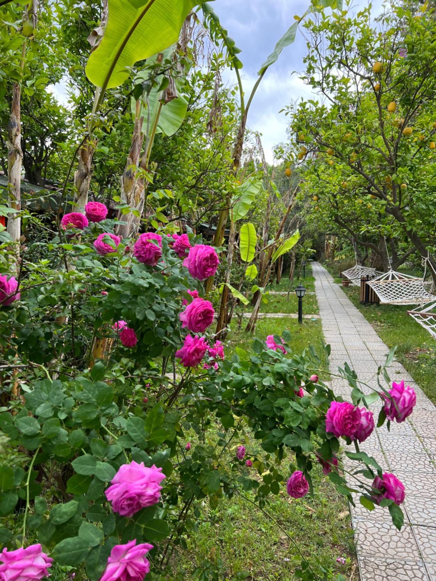 Myland Nature Чирали Экстерьер фото