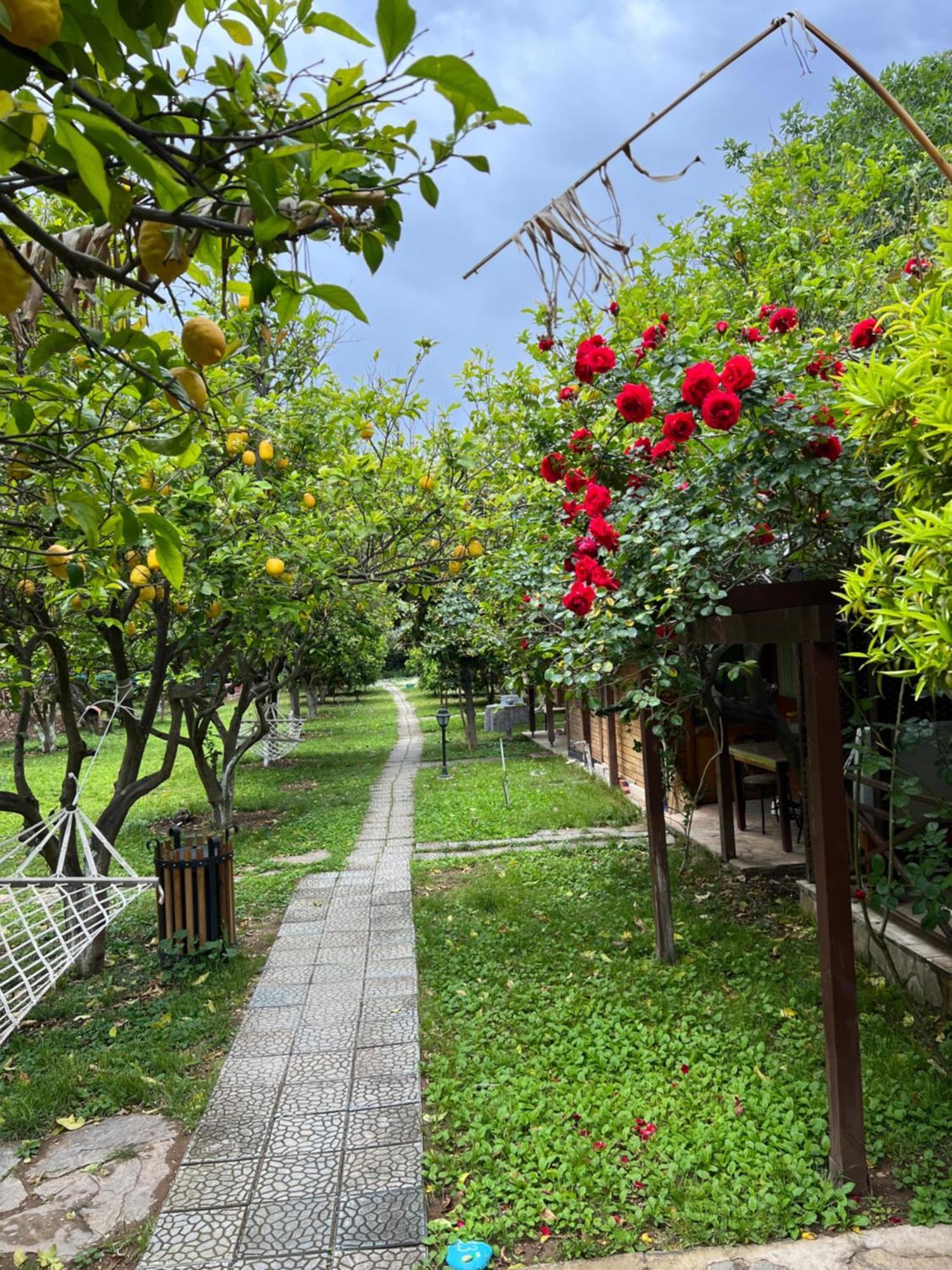 Myland Nature Чирали Экстерьер фото