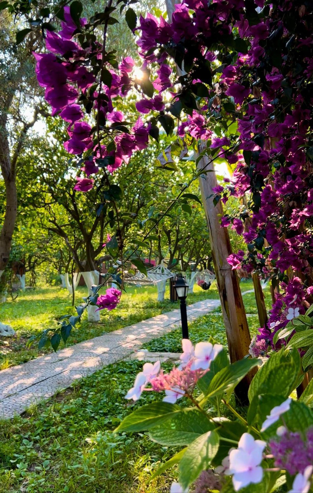 Myland Nature Чирали Экстерьер фото